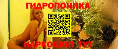 каннабис Новодвинск