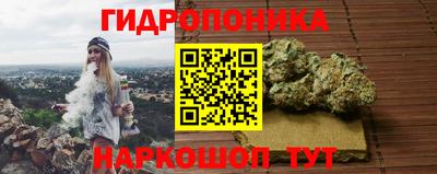 ешки Новокубанск