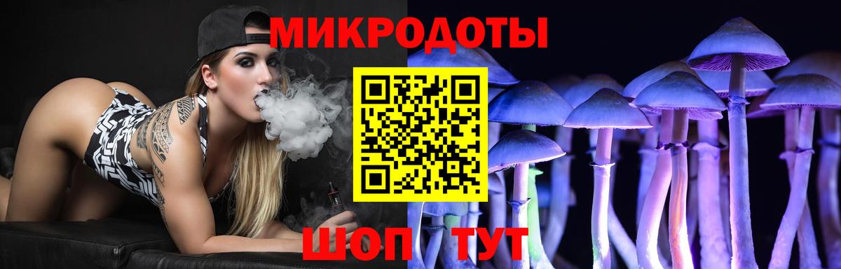Псилоцибиновые грибы прущие грибы Ставрополь